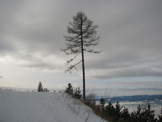 23122012a