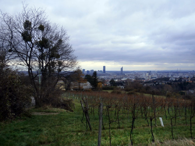 PC080030