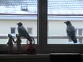 PC300081_IMG_7359
