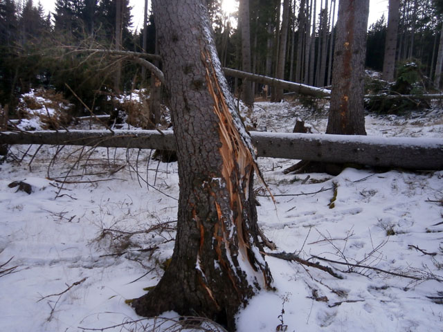 PC040017