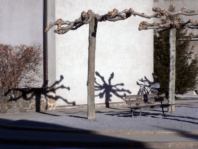 PC080022