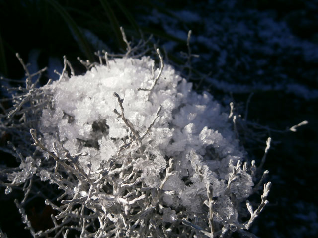 PC100064