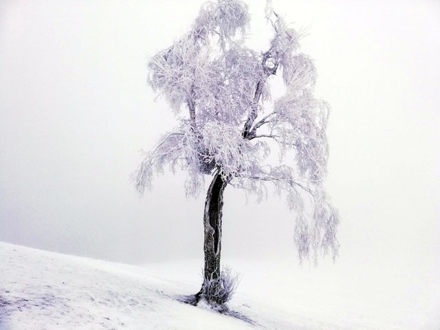 IMG_20181202_122904_resized_20181203_052134698