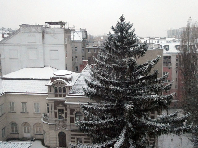 P1008717