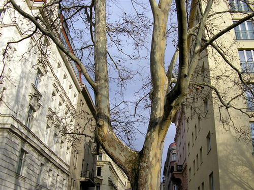 P1051268