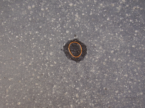 P2071765a