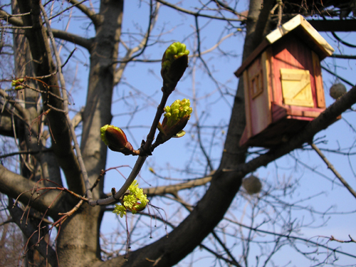 P3302933