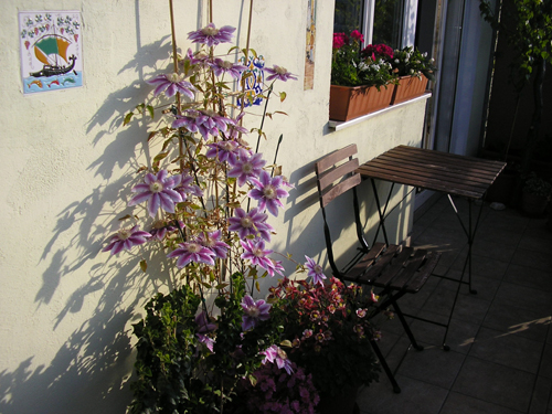 P5033374