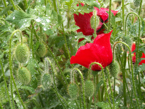 P5053381a