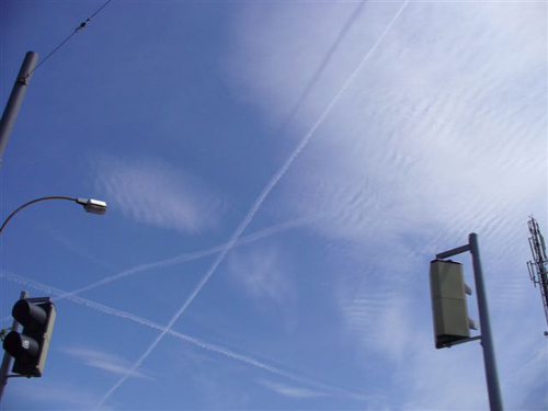 P5113500