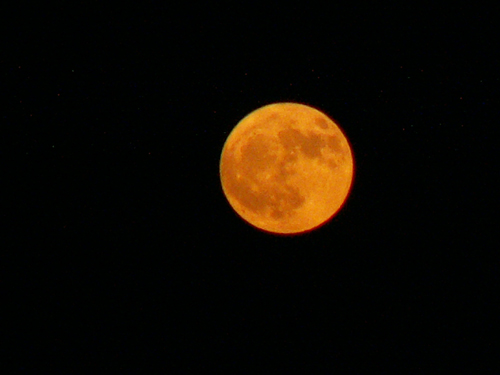 P5313564a