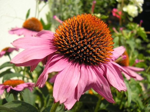 P7023897
