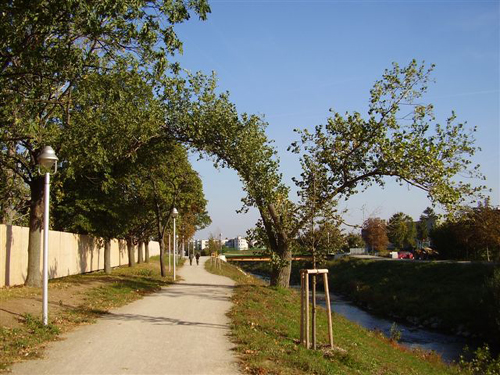 P8134122