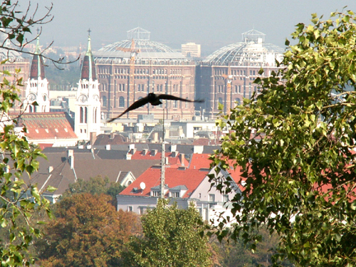 PA084536a