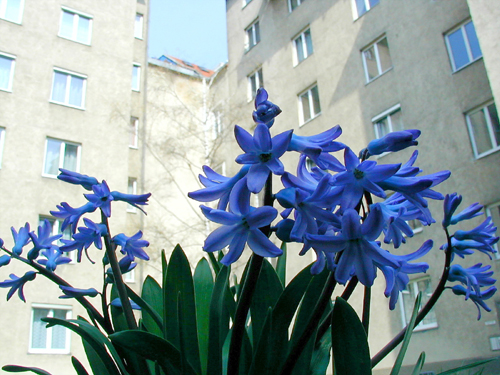 P4030014